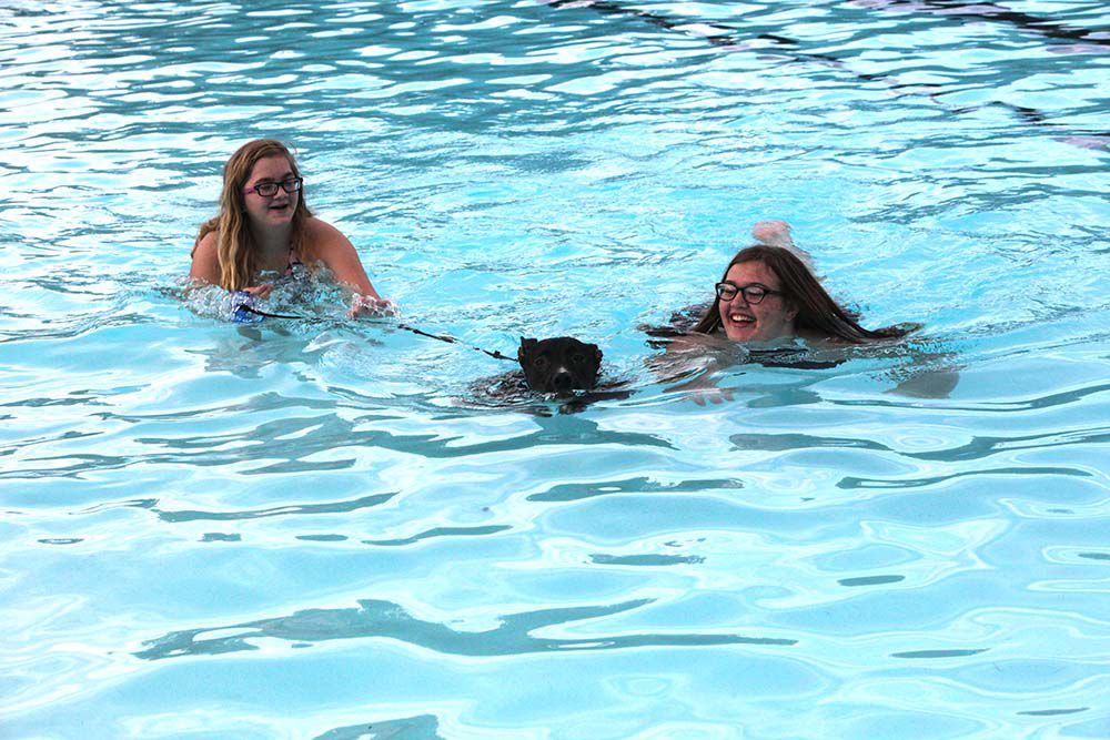 Pooches and people